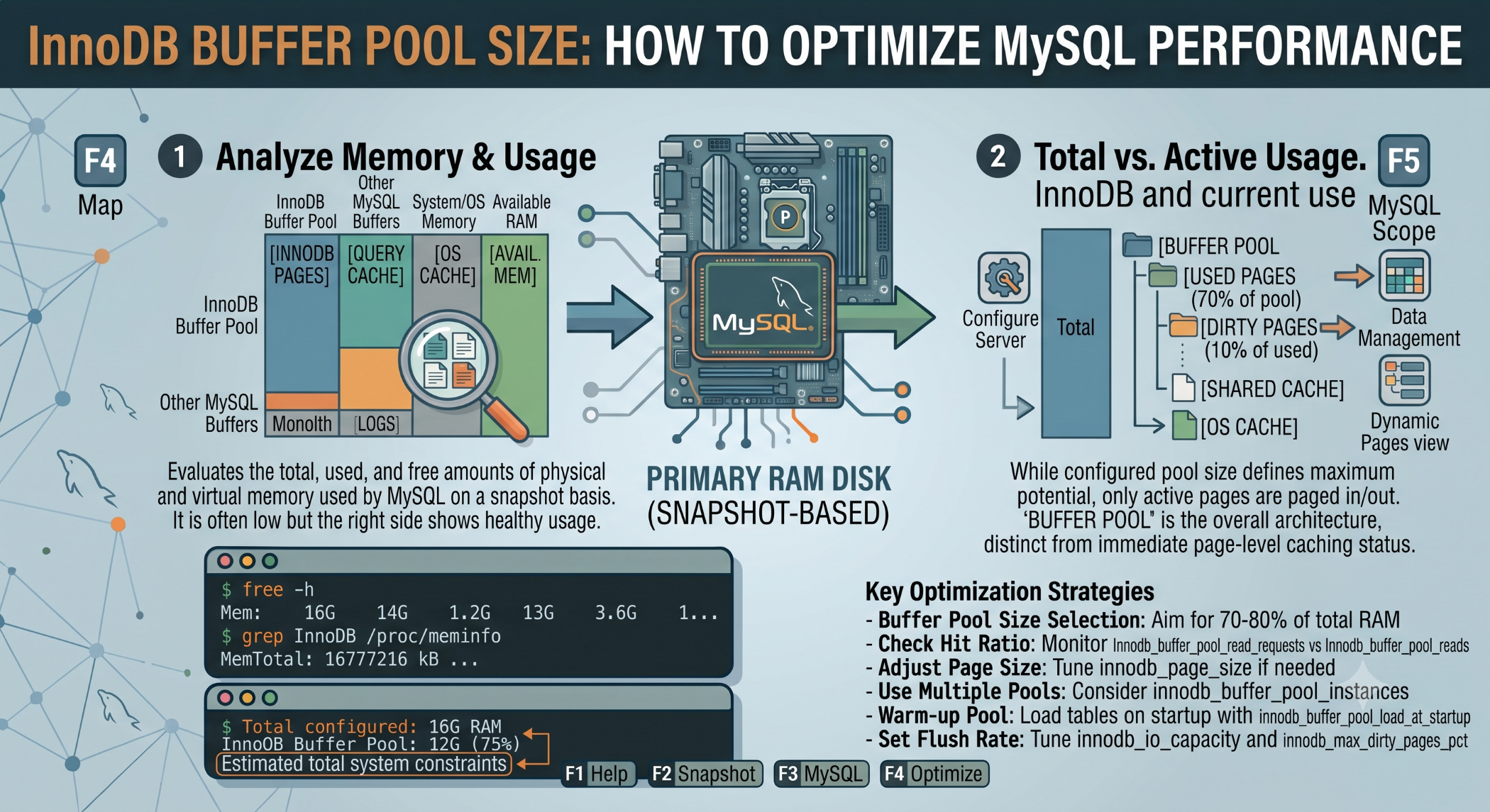 InnoDB Buffer Pool Size How to Optimize MySQL Performance